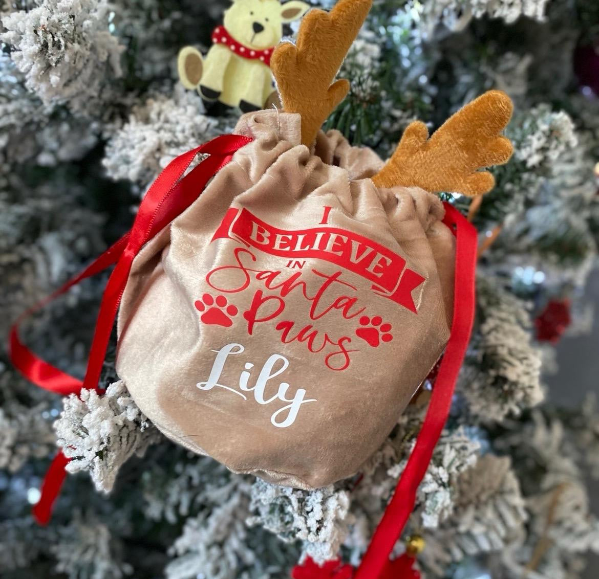 I believe in Santa paws