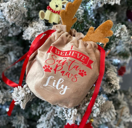 I believe in Santa paws